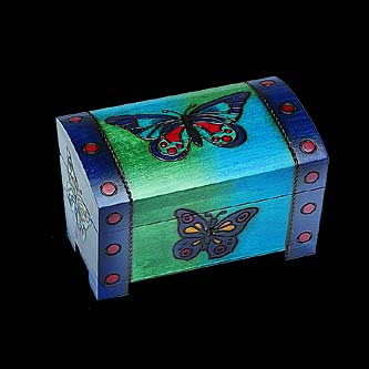 Butterflies locking chest